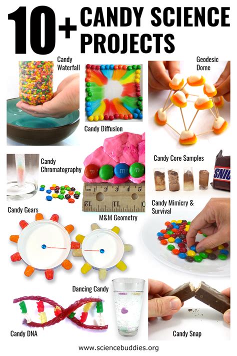 14 Candy Science Experiments And Candy Stem Activities Science