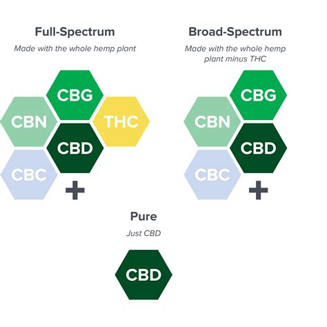 Cbd 101 Health Benefits Uses And More Green Gorilla