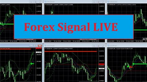 Live Forex Signals Youtube