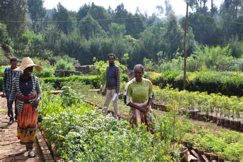 In Ethiopias Addis Ababa Gullele Botanical Garden Captivates City