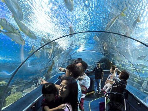 Aquaria klcc has restricted the number of visitor(s) 400(max) pax at a time. Aquaria KLCC - Travel-KL
