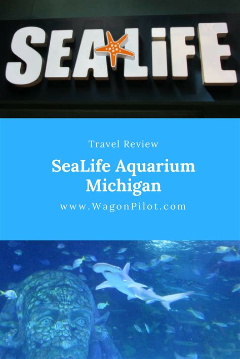 Visiting The Sea Life Aquarium In Auburn Hills Michigan