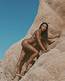 Naya Rivera Nude Leaked