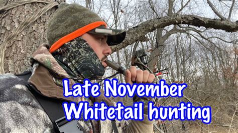 Late November Whitetail Hunting Youtube