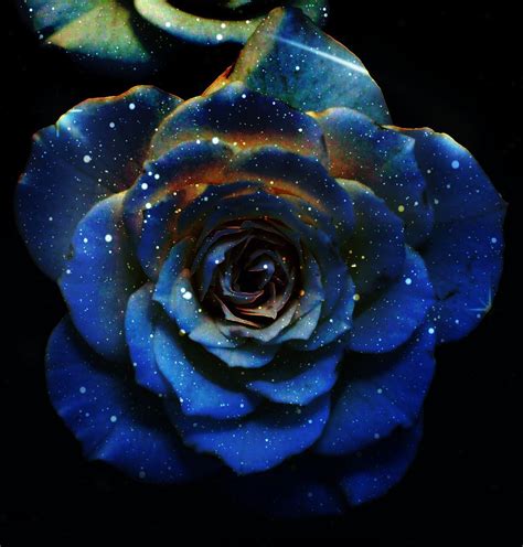 Space Flower Viby Tealeaf27 Roses Are Red Violets Are Blue Flowers