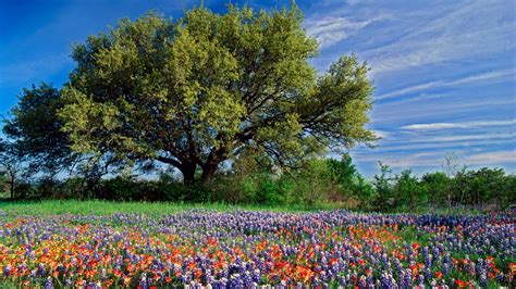 Texas Landscape Wallpaper 1920x1080 27500