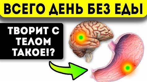 Если голодать то можно похудеть