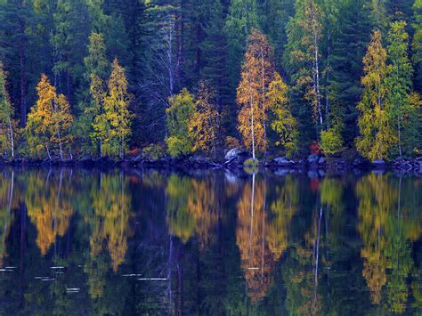 Autumn In Finland An Alternative Fall Foliage Tour Lonely Planet