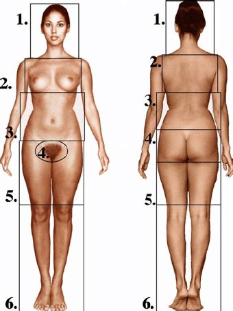 Wide Body Deck Diagram SexiezPicz Web Porn