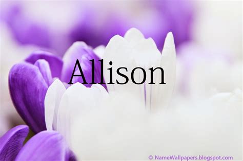 Allison Name Wallpapers Allison ~ Name Wallpaper Urdu Name Meaning Name