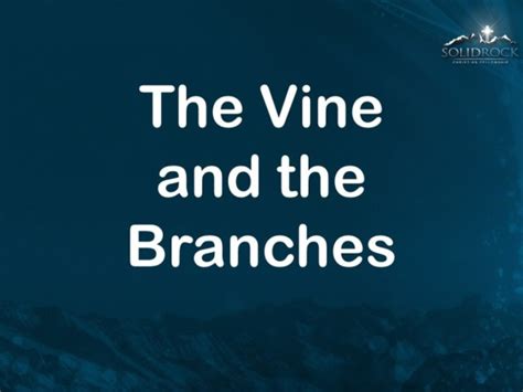 Oct 10 2021 The Vine And The Branches Faithlife Sermons