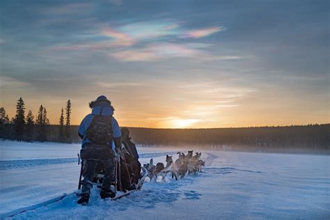 Dogsled Tours In Kiruna Experience Unforgettable Moments