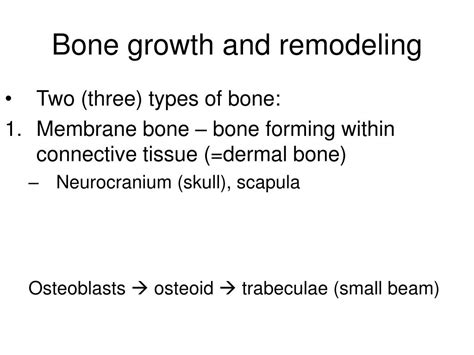 Ppt Bone Growth And Joints Powerpoint Presentation Free Download