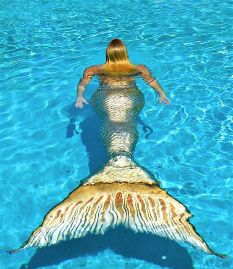 Pin By 𝓜𝓲𝔃𝓴𝓪𝔂𝓽 On ɱε૨ɱคʑเɳɠ Mermaid Pictures Real Mermaids Realistic Mermaid Tails