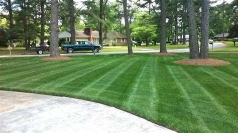Tips For Choosing The Right Lawn Care Contractor Go To Home Stay