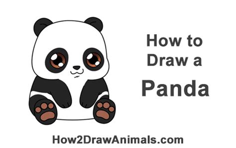 How To Draw A Panda Bear Cartoon Video And Step By Step