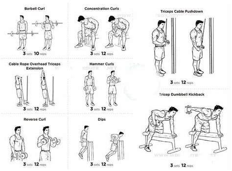 53 best images about Gym - Arms on Pinterest | Muscle ...