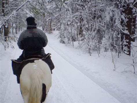 Winter Horseback Riding Free Stock Photo Public Domain