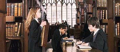 Hermione Harry Potter Affect Assume Taste Trump