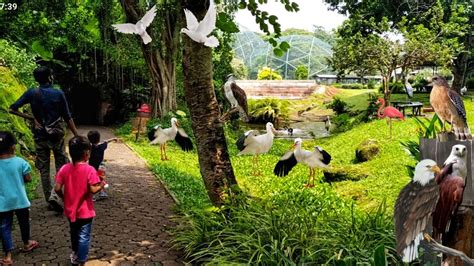 Taman Burung Di Taman Mini Indonesia Indah Tmii Wisata Favorit Keluarga Di Jakarta Youtube