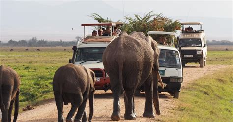 Nairobi 4 Dniowe Safari Z Przewodnikiem Po Amboseli Tsavo West I East