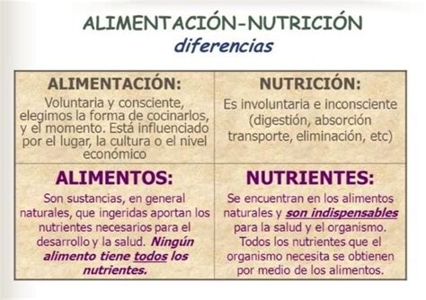 Cuadro Comparativo De Alimentación Nutrición Y Nutrientes Brainlylat