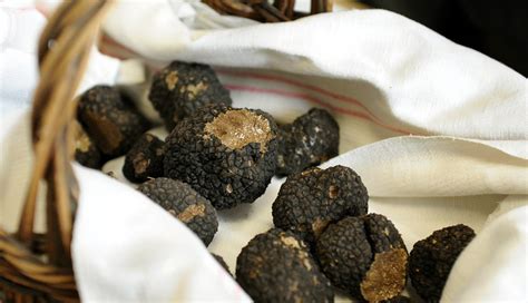 Le marché de Richerenches lance la saison des truffes en France