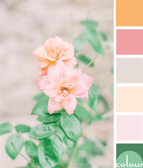 Exclusive our pastel posy bouquet delivers all the sweetness of spring. A Pretty Color Palette Inspired by Peach and Pink Flowers ...