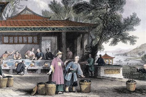 The Great Tea Robbery How The British Stole Chinas Secrets And Seeds