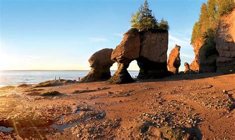 New Brunswick Tourism 2023 Best Of New Brunswick Tripadvisor
