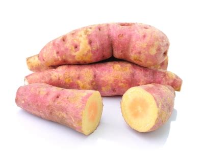 2.applicato nel campo dei prodotti sanitari, da utilizzare come materia prima aggiunta al prodotto. I 10 alimenti più ricchi di beta-carotene - Piano salute