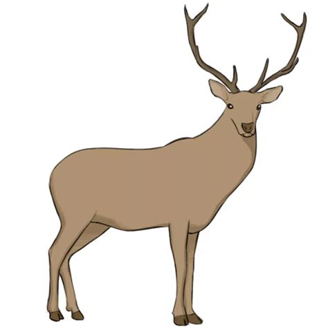 Desenho Facil De Um Deer