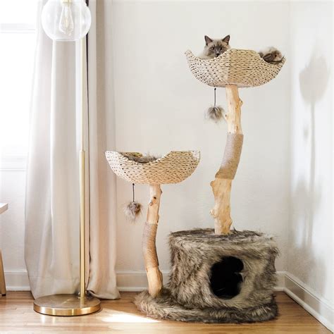 Mau Lifestyle Cento 46 In Modern Wooden Cat Tree And Condo Brown