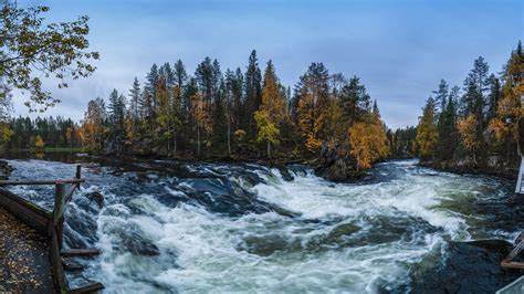 Finland Forest River During Fall Hd Nature Wallpapers Hd Wallpapers Id 47821
