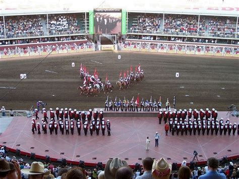 Pin by The Cowboy Trail on Calgary Stampede | Calgary stampede, Calgary