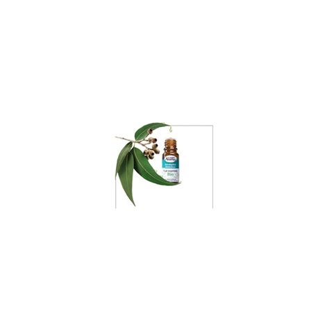 Inflammation aiguë ou chronique des bronches. Bronchite chronique pack conseil aux huiles essentielles bio