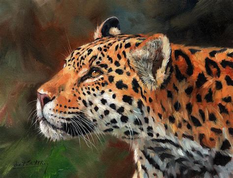 Jaguar Painting By David Stribbling