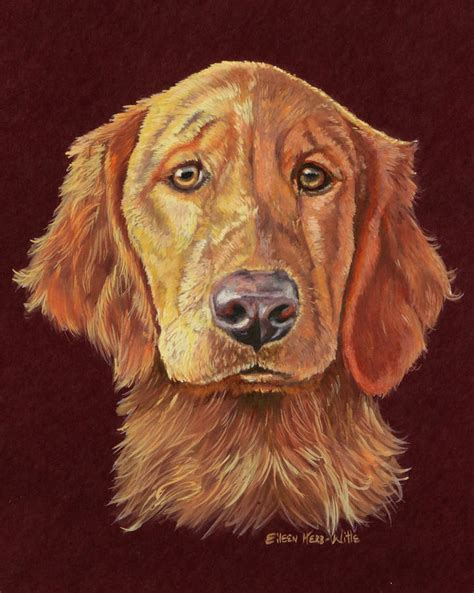 Linus Retriever Dog Painting By Eileen Herb Witte