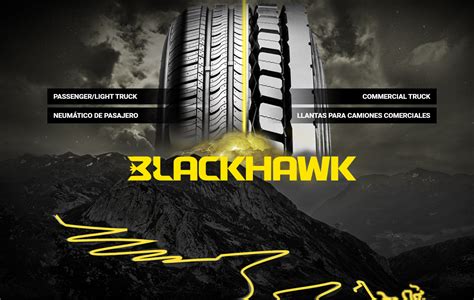 Black Lion Tire Rebate Form