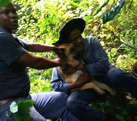 Search your house search your house attentively when you find your furry friend is lost. Policeman Thought He Had Lost Dog, And Breaks Down After ...