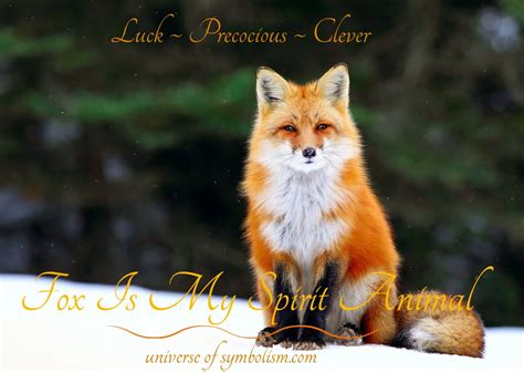 Symbolic Meaning Of Fox Spirit Totem And Power Animal Messengers