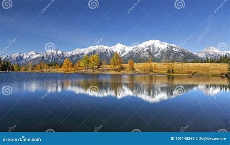 Canadian Rocky Mountain Autumn Landscape Stock Image Image Of