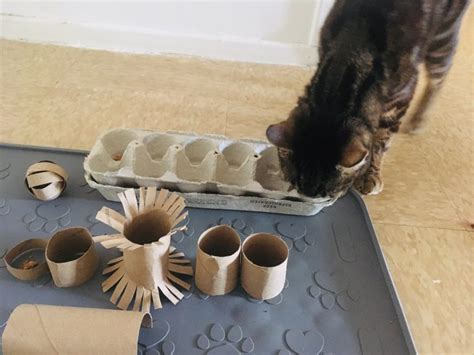 13 Diy Toilet Paper Roll Toys You Can Make For Your Cat Jess Caticles