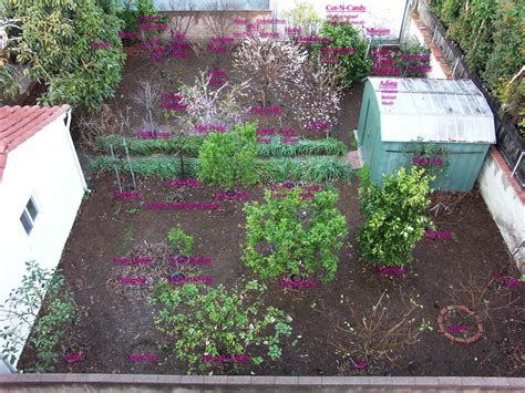 This is one of the most important considerations when planning your fruit orchard. Compact Orchard | Dave Wilson Nursery