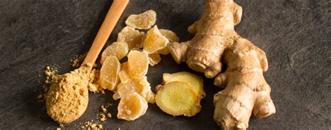 Ginger A Beautiful Tropical Edible Plant