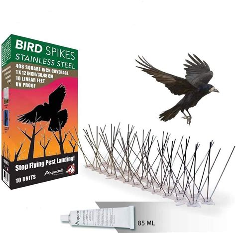 Aspectek Stainless Steel Bird Spikes Kit Pigeons Spikes 10 Feet 3