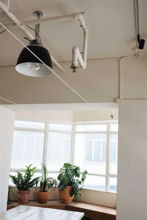 View an image titled 'indoor canopy art' in our dishonored 2 art gallery featuring official character indoor canopy art. DIY Indoor Canopy Brunch (With images) | Indoor canopy ...