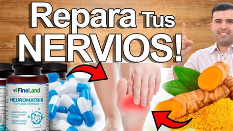 Repara Tus Nervios Cómo Curar Los Nervios Y Prevenir Curar O