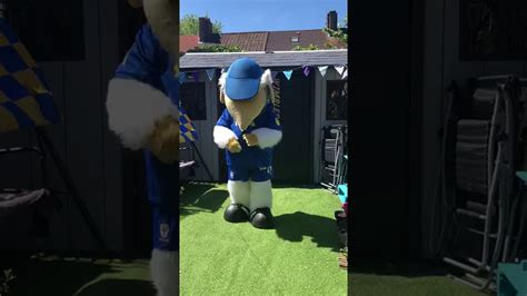 Haydon The Womble Does The Debbie Doo And Friends Lets Star Jump Dance