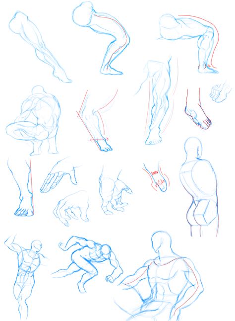 Dynamic Figure Drawing Practice Day 2 By Quesogr7 On Deviantart